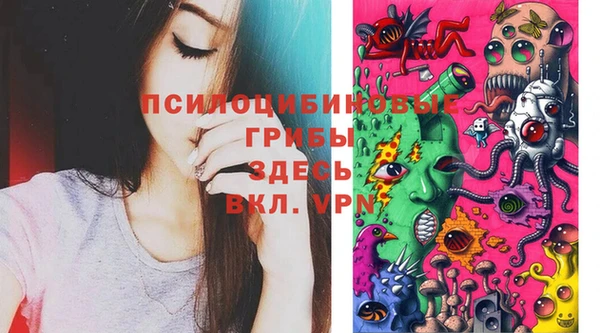 spice Сосновый Бор