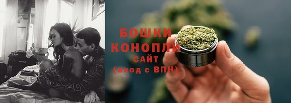 spice Сосновый Бор