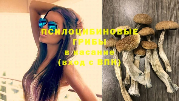 синтетический гашиш Бронницы