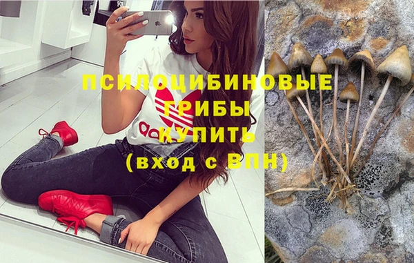 кокаин Бородино