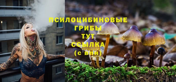 apvp Бугульма