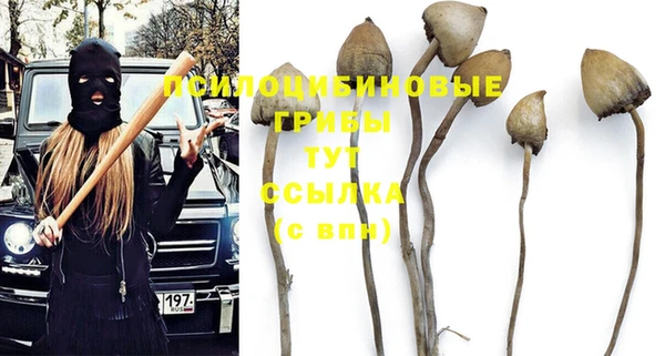 синтетический гашиш Бронницы