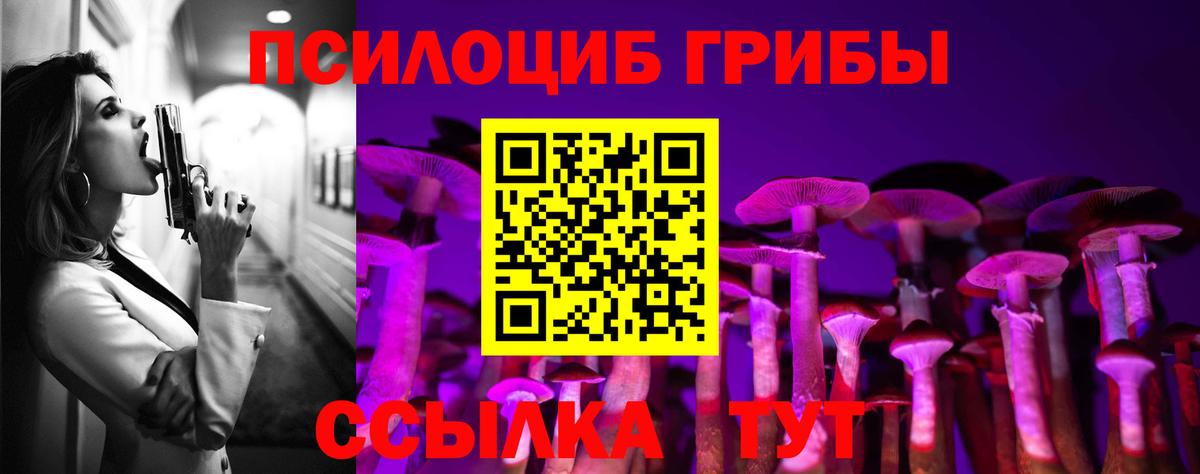 Псилоцибиновые грибы Magic Shrooms Мончегорск